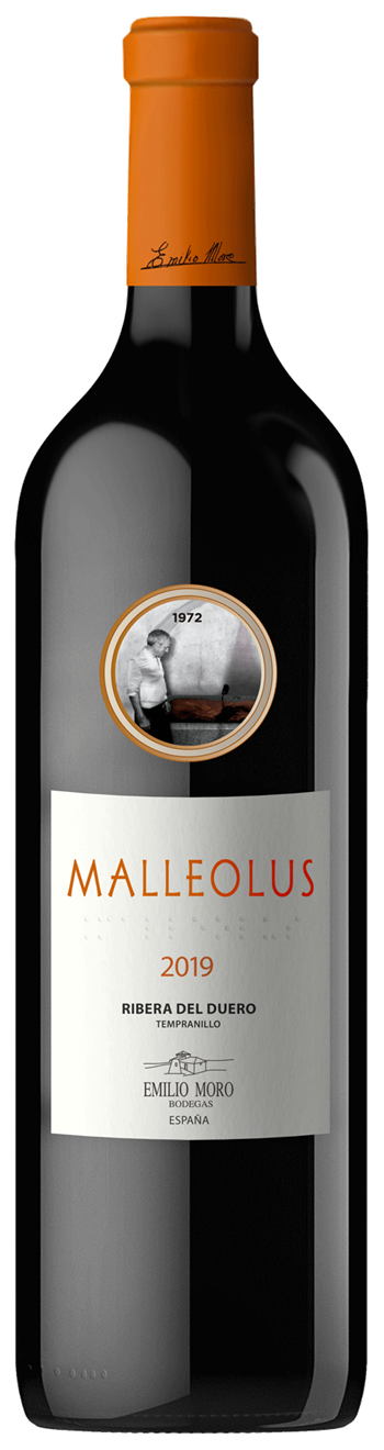 Malleolus - Emilio Moro 2019 MAGNUM