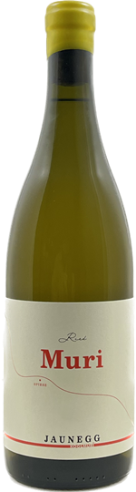 Sauvignon Blanc  Spiesz  - Weingut Jaunegg 2017