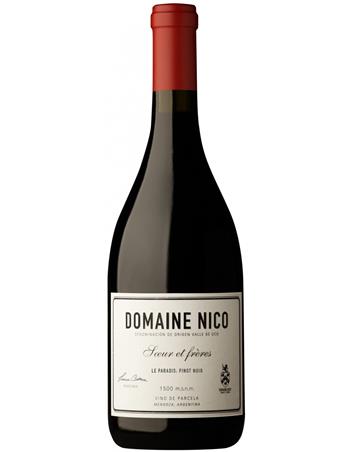 Le Paradis Pinot Noir - Domaine Nico 2017