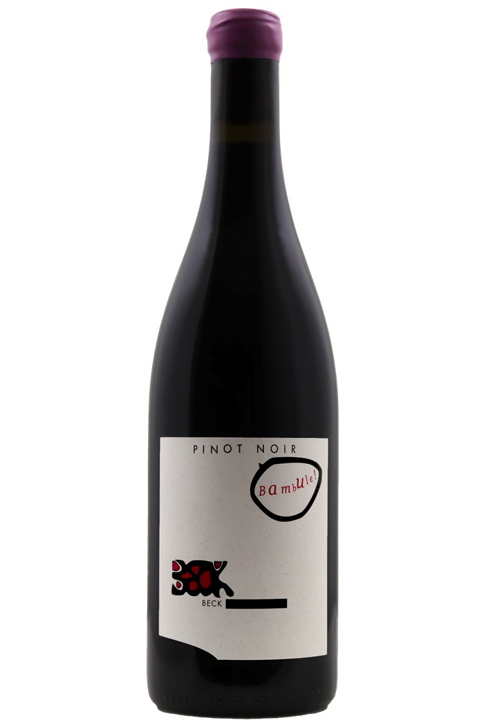 Pinot Noir Bambulé - Weingut Judith Beck 2020 - BIO